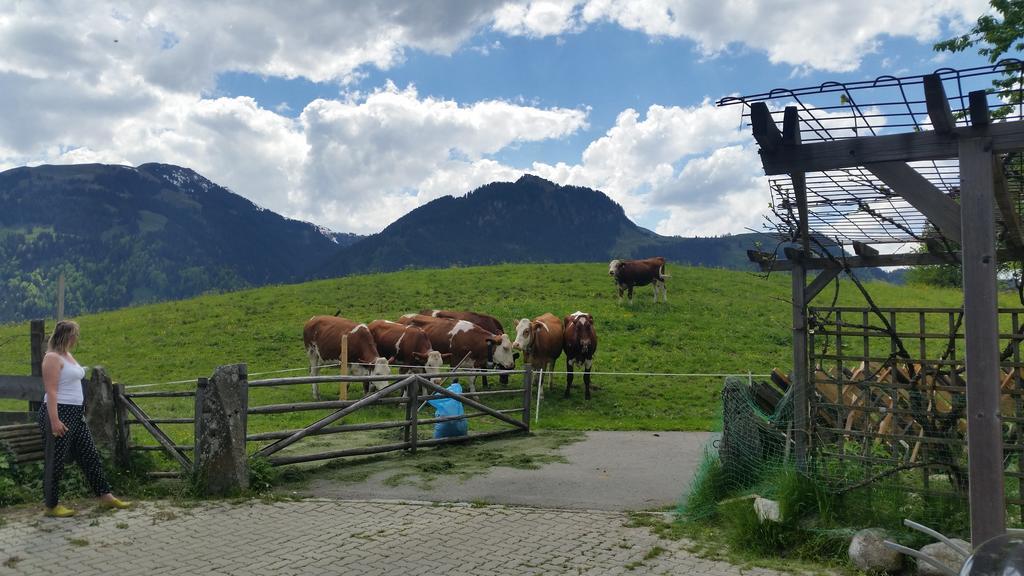 Appartements Berger Kitzbuehel Bagian luar foto